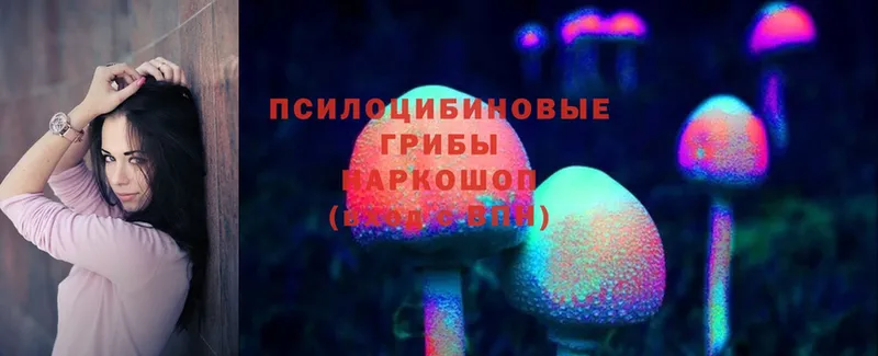 Псилоцибиновые грибы MAGIC MUSHROOMS  мориарти официальный сайт  Новошахтинск 